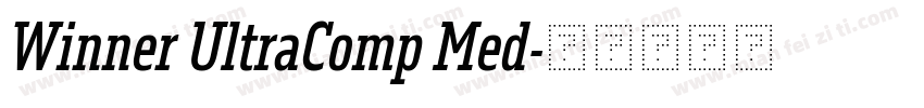 Winner UltraComp Med字体转换
